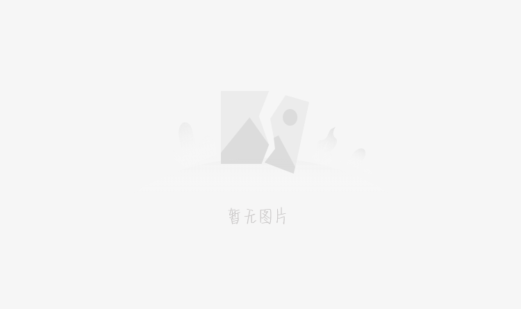 側(cè)裝磁翻板液位計(jì)的詳細(xì)介紹